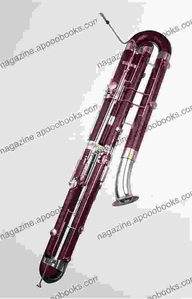 A Bassoon Lying On A Music Stand The Bassoon (Yale Musical Instrument Series)