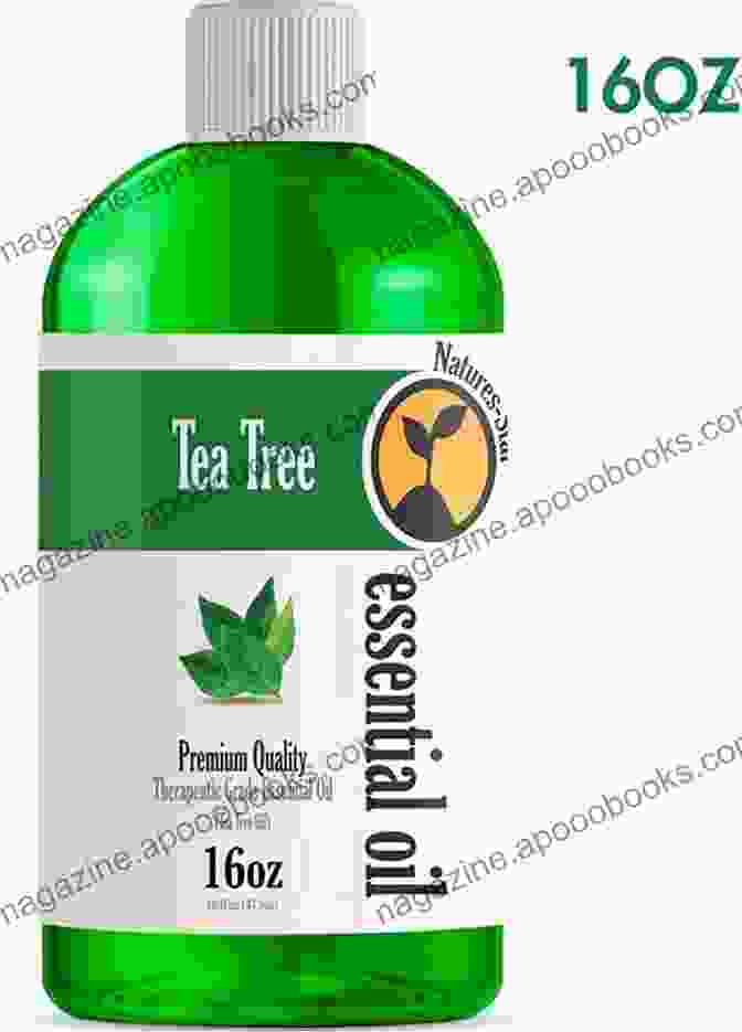 A Bottle Of Tea Tree Oil Home Remedies To Treat And Prevent Hemorrhoids