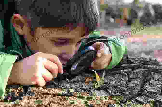 A Child Using A Magnifying Glass To Observe A Leaf In Their Backyard Jungle Unlikely Cat Lady: Feral Adventures In The Backyard Jungle