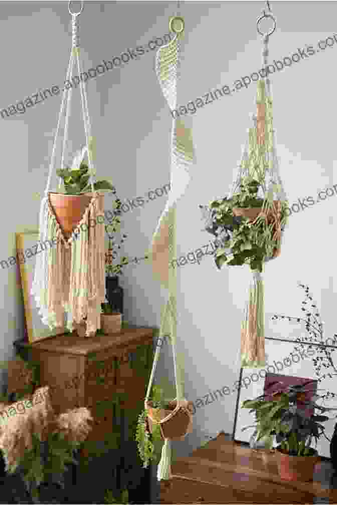 A Close Up Of A Macrame Plant Hanger Suspended From The Ceiling, Showcasing Intricate Knots And Beads, Holding A Lush Green Plant Quilt Modern Curves Bold Stripes: 15 Dynamic Projects For All Skill Levels