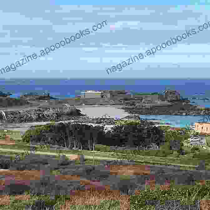 A Hiker Enjoying The Breathtaking Views Of The Alderney Coastal Path, Surrounded By Windswept Dunes And Turquoise Waters. Walking On Guernsey: Guernsey Alderney Sark And Herm (British Walking Guides)