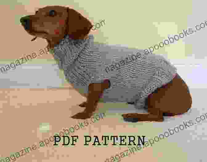 A Knitted Dachshund Showcasing Its Adorable Features, Including Floppy Ears, Expressive Eyes, And A Wagging Tail. Lena S Waffle Stitch Miniature Dachshund Knitting Pattern