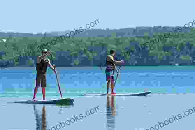 A Person Paddle Boarding On A Calm River, Surrounded By Lush Greenery The Power Of The Paddle