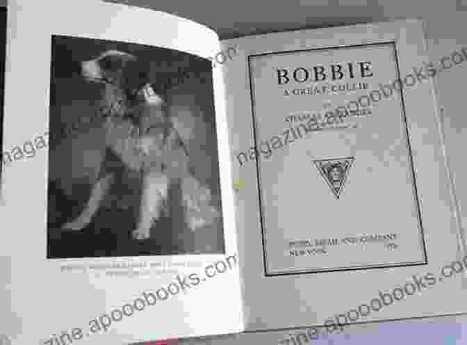 Bobbie The Great Collie Book Cover Featuring A Painting Of Bobbie The Collie Looking Out Over A Vast Landscape Bobbie: A Great Collie Robert J Volpe