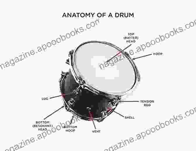 Detailed Diagram Of A Tongue Drum, Showcasing Its Construction And Tonal Areas Ultimate Easy Tongue Drum Guide: Even If You Ve Never Played Music Before