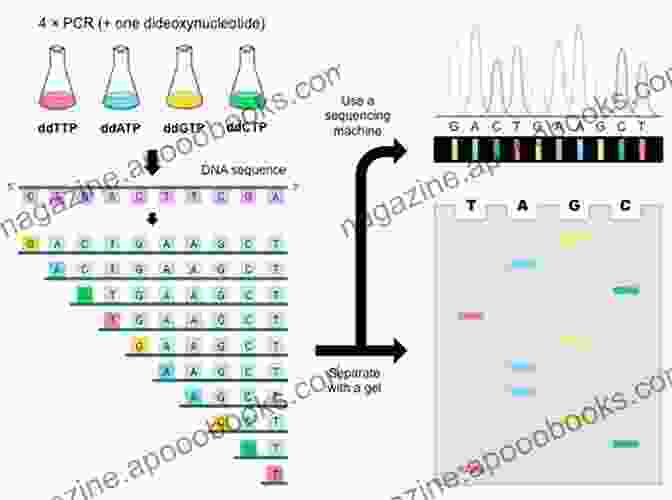 Image Of A Sanger Sequencing Gel Sequence Analysis And Modern C++: The Creation Of The SeqAn3 Bioinformatics Library (Computational Biology 33)