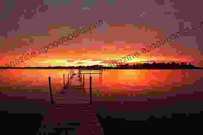 Life On The Dock Book Cover Featuring A Picturesque Dock At Sunset Life On The Dock Michael Konrad