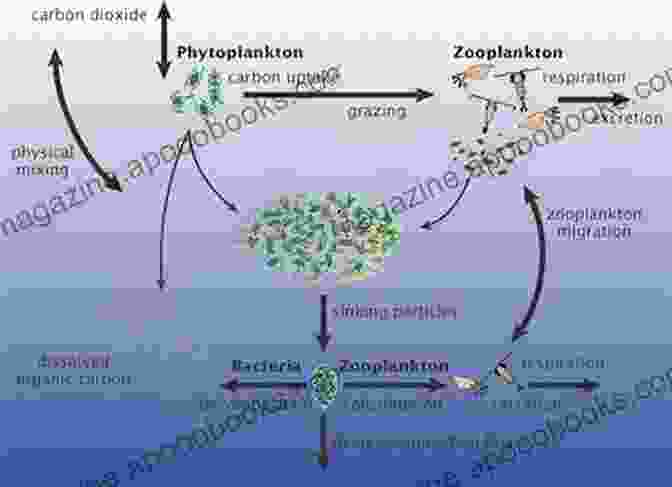 Microbial Symbionts And Their Impact On Zooplankton Biology Basic And Applied Zooplankton Biology