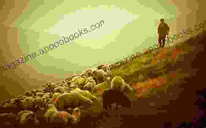 Shepherd Tending To His Flock In The Cretan Mountains Images Of Crete Loose Ends