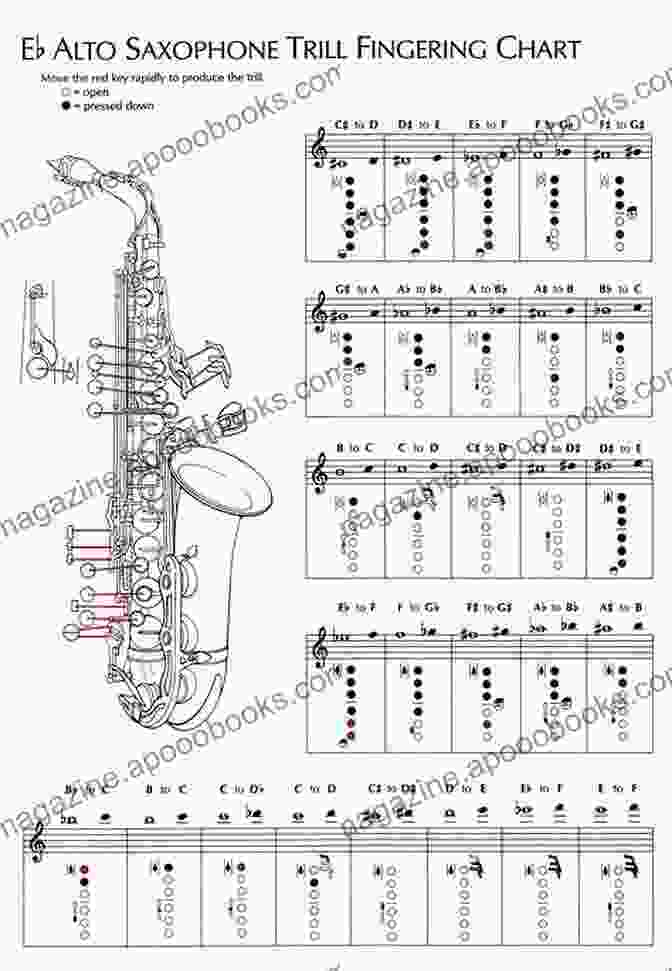 Tenor Saxophone Full Range Fingering Chart Tenor Saxophone Colorful Full Range Fingering Chart (Fingering Charts For Brass Woodwind Instruments 9)