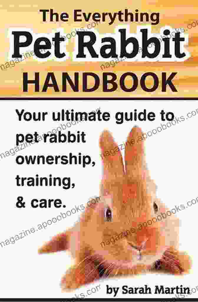 The Everything Pet Rabbit Handbook Cover The Everything Pet Rabbit Handbook Your Ultimate Guide To Pet Rabbit Ownership Training And Care