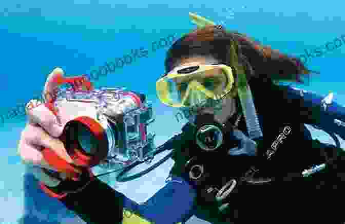 Underwater Photographer Taking Pictures With A Digital Camera The Beginner S Guide To Underwater Digital Photography