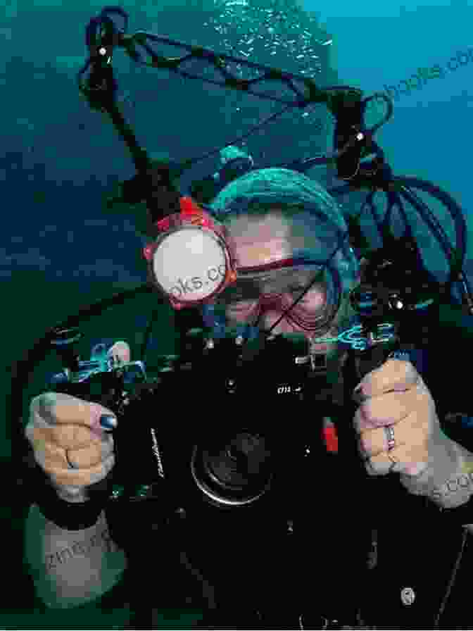 Underwater Photographer Using A Strobe Light To Illuminate A School Of Fish The Beginner S Guide To Underwater Digital Photography