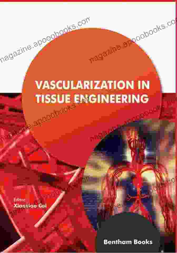 Vascularization In Tissue Engineering Book Cover By Helena Tabery Vascularization In Tissue Engineering Helena M Tabery