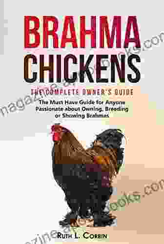 Brahma Chickens The Complete Owner s Guide: The Must Have Guide for Anyone Passionate about Owning Breeding or Showing Brahmas