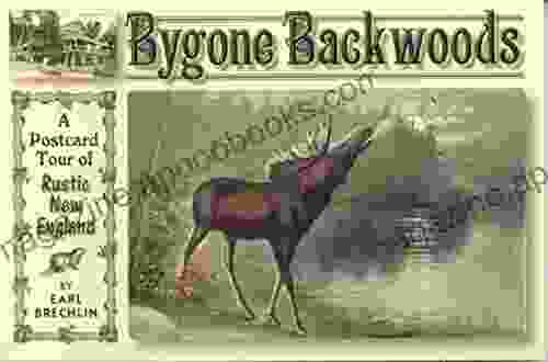 Bygone Backwoods Lisa Cooper