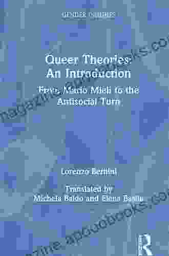 Queer Theories: An Introduction: From Mario Mieli To The Antisocial Turn (Gender Insights)