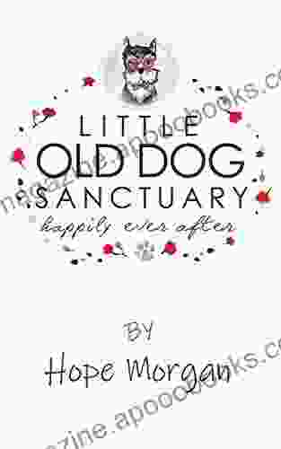 Little Old Dog Sanctuary Happily Ever After