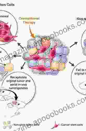 Stem Cells And Cancer Stem Cells Volume 1: Stem Cells And Cancer Stem Cells Therapeutic Applications In Disease And Injury: Volume 1