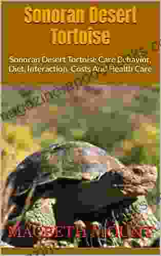 Sonoran Desert Tortoise : Sonoran Desert Tortoise Care Behavior Diet Interaction Costs And Health Care