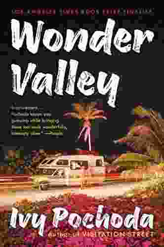 Wonder Valley: A Novel Ivy Pochoda